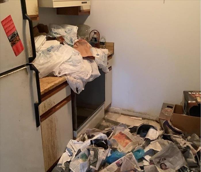 Kitchen area of a hoarder