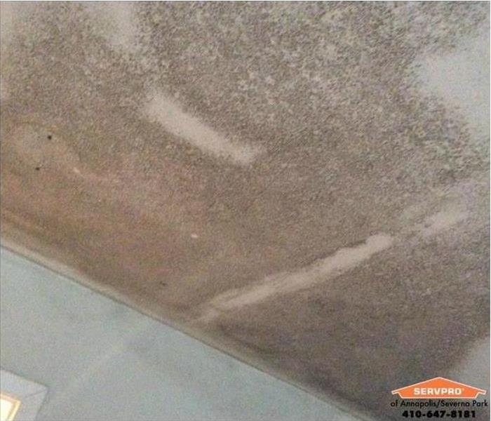 white ceiling with mold