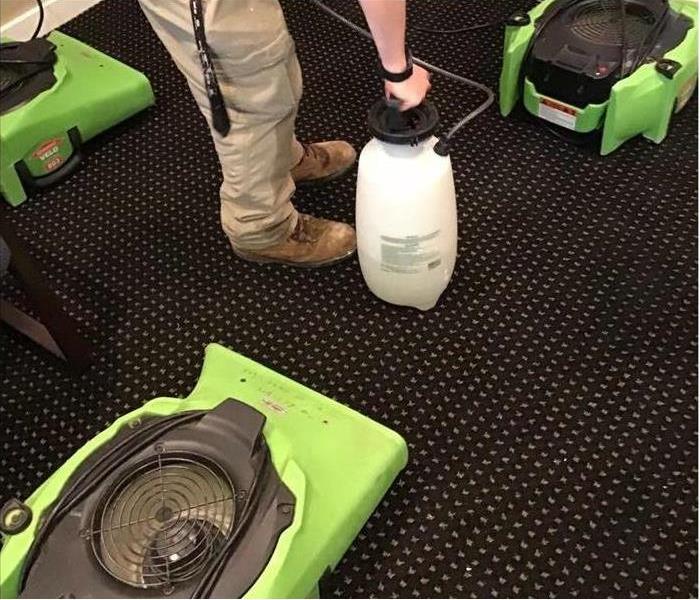 cleaning water damage on carpet